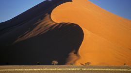 Namib Desert