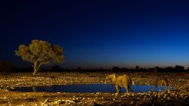 Africa
