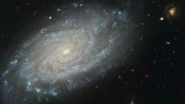 Ngc 3370