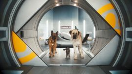 Кошки Против Собак Месть Китти Галор