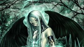 Fallen Angel Anime