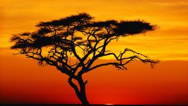 Закат в Африке