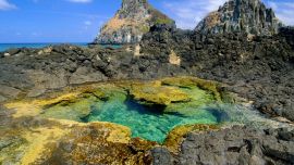Fernando De Noronha Brasil
