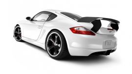 Porsche Cayman S Techart