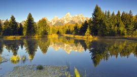 Lake And Forest