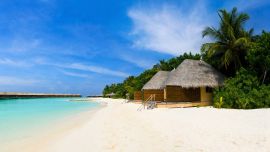 Tropical Beaches