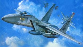 F 15 Art