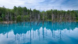 Japan Blue Pond