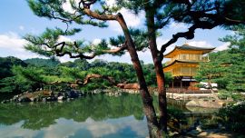 Japan Wallpaper