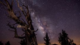 Astronomy Photographer Of The Year