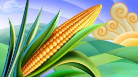 Corn Clipart