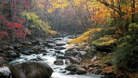 Great Smoky Mountains