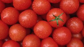 Tomatoes