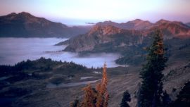 Foggy Mountains