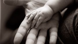 Руки Мамы Папы и Ребенка