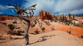 Desktop Wallpapers Desert