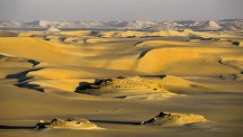 Siwa Oasis