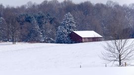 Snow Farm