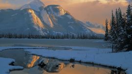 Canada Nature Winter