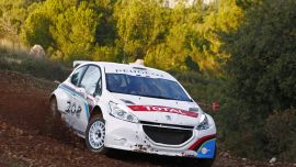 Peugeot 208 R5