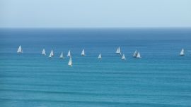 Sailboats