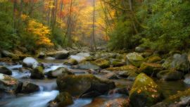 Fall Wallpaper HD