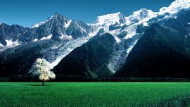 Gorgeous Mountains