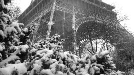 Paris Winter