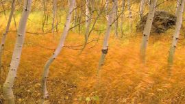 Красивые Картинки Природы Осень